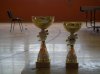 W dniu 25.02.2017r. na hali sportowej w Czarnej odbył się VI Gminny Turniej Tenisa Stołowego o ˝Puchar Wójta Gminy Czarna˝.